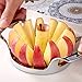 jooe Apple Slicer Cutter, Divider, Corer and Wedger with 12 Stainless Steel Blades