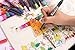 Dual Tip Watercolor Markers - Brush Colored Pens for Adult&Kids Coloring Books, Fine&Brush Tip,Pack of 12