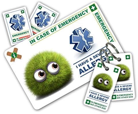 ICECARD CHILD ALLERGY In Case of Emergency (I.C.E.) ICE Card Pack with Card, Key Rings & Stickers