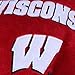 Fabrique Innovations NCAA Pillow Pet, Wisconsin Badgers