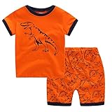 CNBABY Children Short Pajamas 100% Cotton Dinosaur Kids Clothes Boys