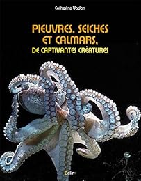 Pieuvres, seiches et calmars