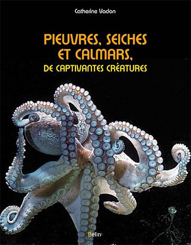 Pieuvres, seiches et calmars