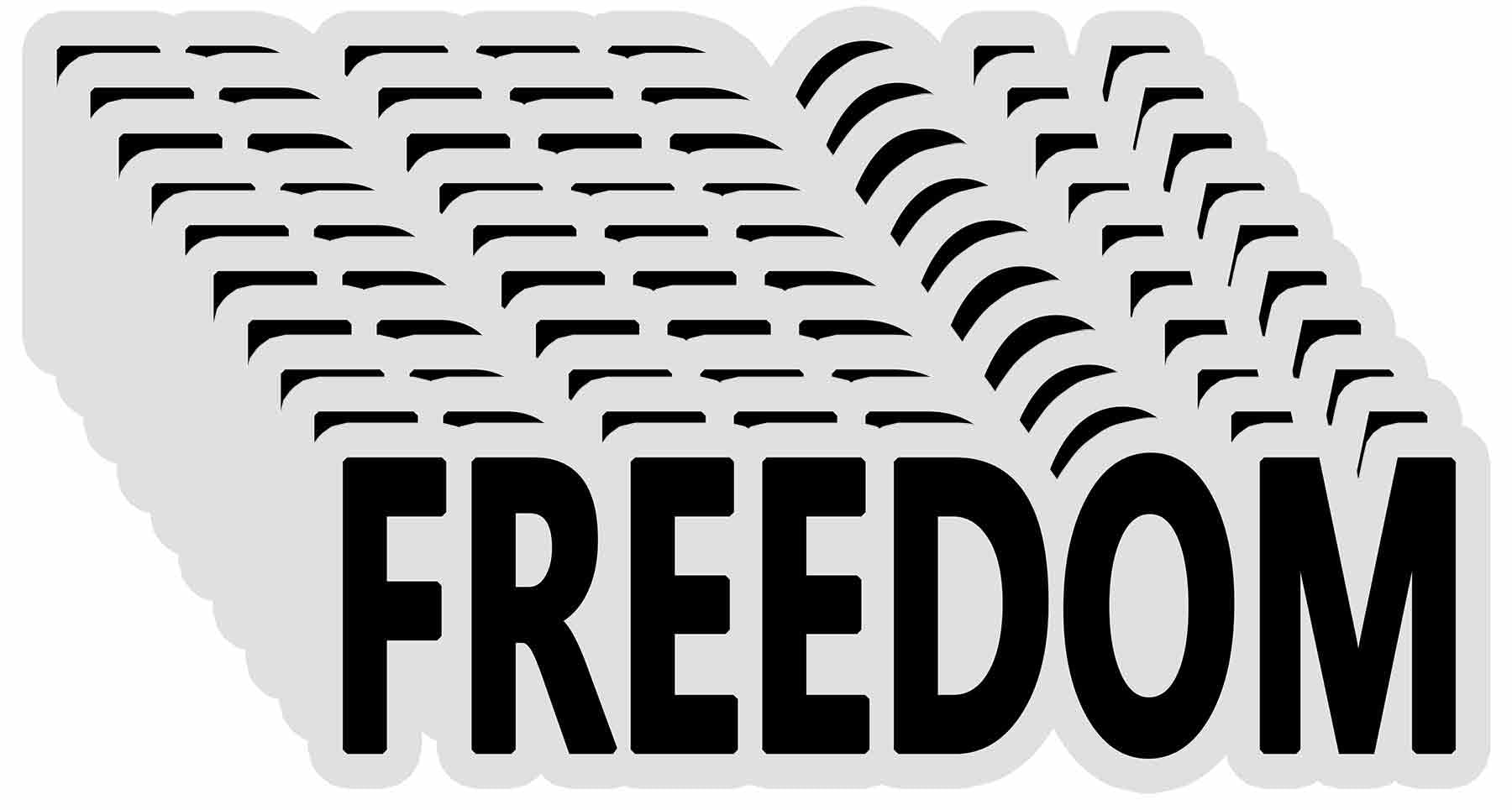 Photo 1 of 10 Pack Charlie Kirk Freedom Stickers Laptop Bumper Decal Window Waterproof Car Stickers