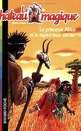 La  princesse Akissi et le mystérieux sorcier