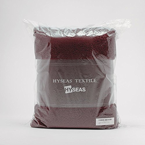 HYSEAS Sherpa Throw Blanket Burgundy and White - Super Soft Plush Cozy Warm Reversible Solid Blanket for Couch, Bed, Chair, Sofa - 50x60 Inch