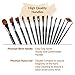 CP Art Watercolor Brushes 15 Piece Acrylic Paint Set – Includes Carrying Case With Brush Stand For Hobby And Face Painting