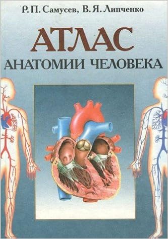 atlas anatomii cheloveka atlas anatomii cheloveka
