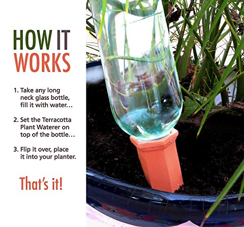 Terracotta Plant Waterer - Perfect for Vacation Plant Watering