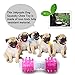 Jakpopin Dog Dumbbell Squeaky Chew Toy, Dental Treat, Bite Resistant, Indestructible Non-Toxic Strong Tooth Massage Toy for Dog Training, Playing, Chewing, Teething Comfort Hold Design