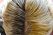 Ambiance Natural Dry Shampoo Powder & Brush for Red Hair - Non Aerosol Travel Size Tinted Shampoo - Non Toxic, Benzene Free - Volumizing, Refreshes Oily Hair & Covers Roots Between Colorings