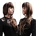 Natural Long Layers Brown with Golden Highlights Mix Color Synthetic wigs for black women+Wig Cap