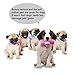 Jakpopin Dog Dumbbell Squeaky Chew Toy, Dental Treat, Bite Resistant, Indestructible Non-Toxic Strong Tooth Massage Toy for Dog Training, Playing, Chewing, Teething Comfort Hold Design