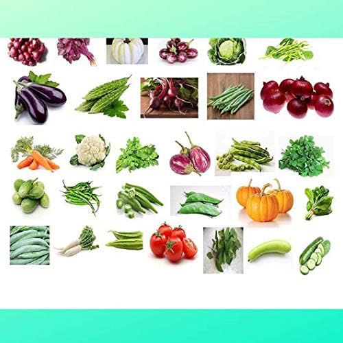 Organic Vegetable seeds for gardening, 30 VARIETIES, Vegetable seeds for terrace gardening, Seeds for vegetables, vegetable seeds for home garden