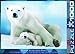 EuroGraphics Polar Bear and Baby Puzzle (1000-Piece), 6000-1198