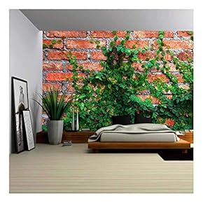 Green Creeper Plant Background - Canvas Art Wall Decor - 66"x96"