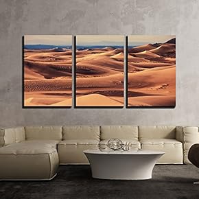 Sand Dunes in The Sahara Desert x3 Panels