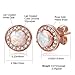  DwearBeauty Rose Gold Plated Stud Cubic Zirconia and Opal Earrings (Round-Shape Rose Gold)