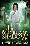 The Mountain's Shadow