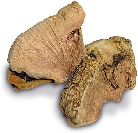 LARSSON &apos Heide Tree Dog Snacks Root"dolle Bulb/Kauwurzel Large 450 – 699 g