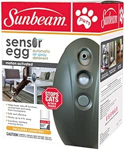 special kitty website