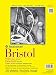 Strathmore 342-109 300 Series Bristol Vellum Pad, 9"x12", Tape Bound 20 Sheets primary
