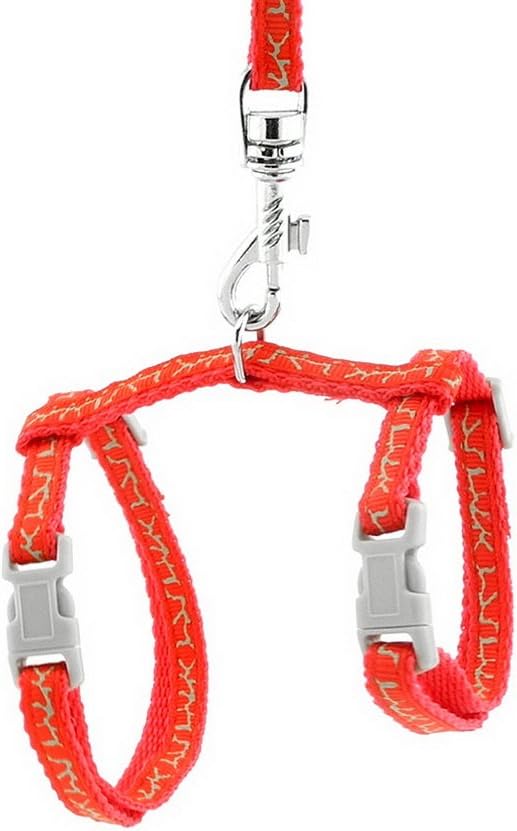 Ranphy Small Dog Halter Harness Cat Basic Harness Pet Collar with Lead Set Adjustable for Walking Training Running Hiking Red