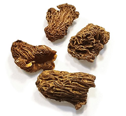 Premium Wild Siberian Dried Morel Mushrooms - 2 oz - Vacuum sealed | USDA Organic