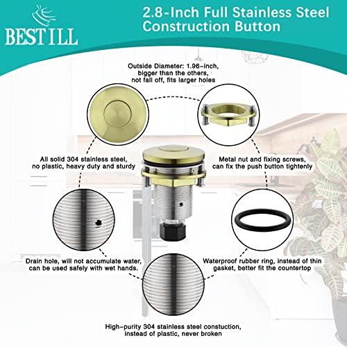 BESTILL Sink Top Garbage Disposal Air Switch Kit, Brushed Gold Full