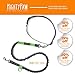 Mighty Paw Hands Free Dog Leash | Bungee Waist Leash for Dog Walking. Pet Running Hands Free Tether for Large, Medium & Small Breeds. Pet Waist Belt (36