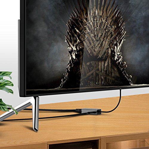 fire tv google home mini