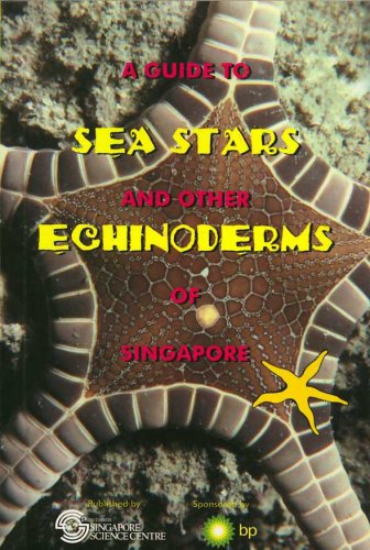 A Guide to the Sea Stars and Other Echinoderms of Singapore