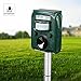 FAYINWBO Dog Cat Animal Repeller, Outdoor Solar Ultrasonic Animal Repeller with Motion Sensor and Flash Intimidation Raccoon, Rabbit, Squirrel, Fox, Birds, Skunks, etc Protect The Farm Garden Yard