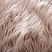 OJIA Deluxe Soft Fuzzy Fur Rugs Faux Sheepskin Shaggy Area Rugs Fluffy Modern Kids Carpet for Living Room Bedroom Sofa Bedside Decor(4 x 6ft, Light Coffee)