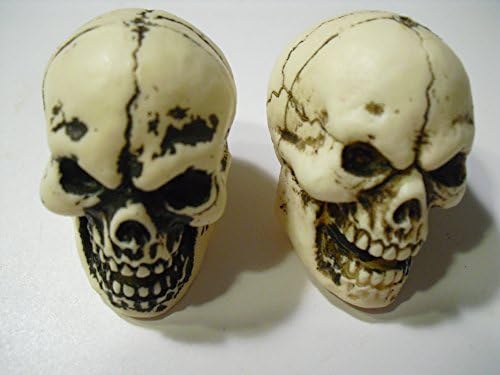 Two Geocache Halloween Skulls