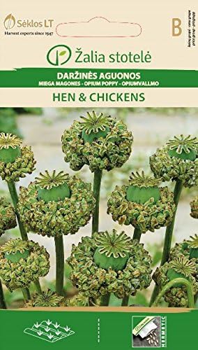 Seklos LT Opium Poppy Hen & Chickens Seed - 1800 Seeds