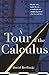 A Tour of the Calculus