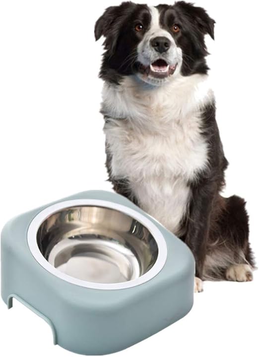 personalised dog bowls amazon