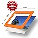 WANGHUI De Dazzle Set of 5 Colorful 4x6 inch Magnetic Refrigerator Photo Picture Frames. Includes Yellow, Orange, Light Blue, Pink, and Green.
