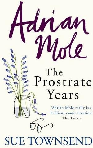 Adrian Mole: The Prostrate Years Hardcover – International Edition, November 24, 2009