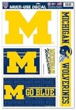 University of Michigan Wolverines 11