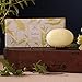 Caswell-Massey Verbena Bar Soap - Verbena Triple Milled Soap With A Fresh Citrus Scent - 3 Bars