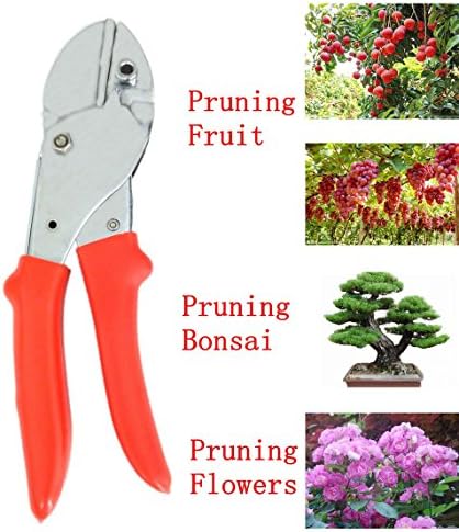 Henslow Professional Pruning Shears——Extremely Durable And Rust-Resistant ,Suitable For Parks, Gardens,Lawns And Other Landscaping Professional Prune.