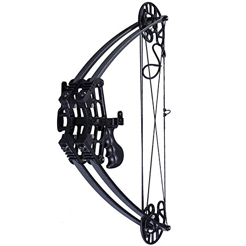 ATROPOS-109 Archery Compound Hunting Bow, H&LH Handed Bow,Black
