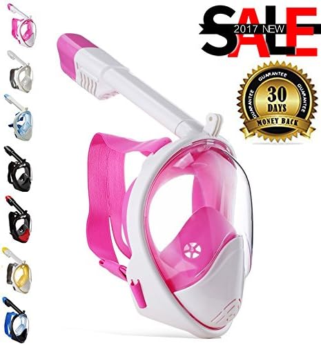 Diving Mask Dry Snorkel Set Adults Kids Snorkeling Masks 180 Degree Underwater Snorkeling Mask Pink L/XL