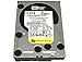 Western Digital RE4 WD2003FYYS 2TB 7200RPM 64MB Cache SATA 3.0Gb/s 3.5in (Enterprise Grade) Internal Hard Drive (Renewed)