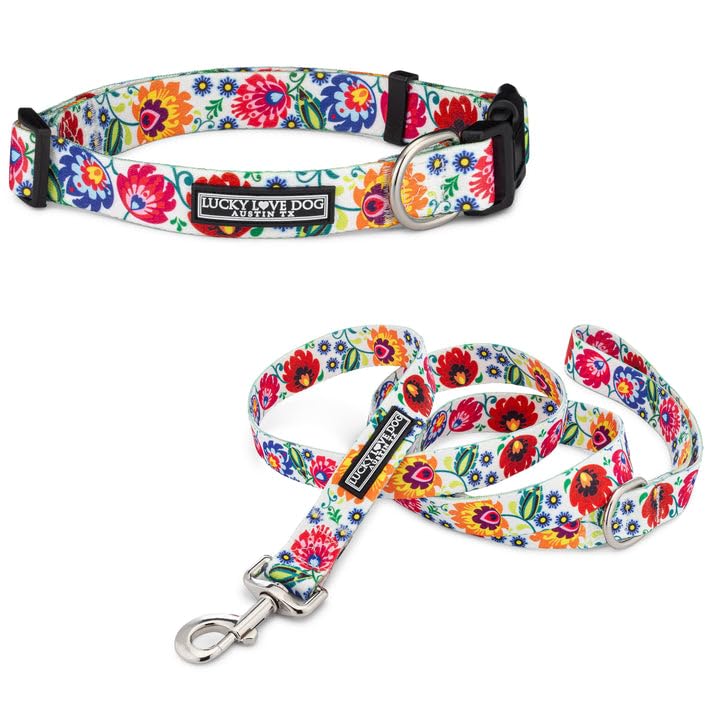 Photo 1 of Lucky Love Dog - Easy Click Buckle Dog Collar with Leash Set Combo, Durable & Comfortable for Male & Female Dogs, Pet Collar for Small to Large Dogs, Secure Fit - Ladybird Combo, Small