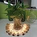 Fjiangyi 12 Pcs Cork Bottle Lights Solar Powered 39 Inch 10 LED String Wine Cork Fairy Lights for Christmas,Party Decor (Warm White)
