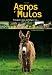 Asnos y mulos