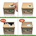 Matney Stealing Coin Panda Box Piggy Bank Panda Bear English Speaking Great for Any Child
